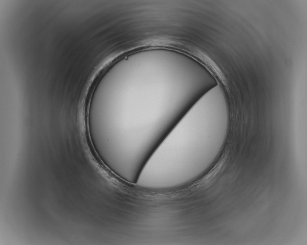 X0000111440939200907131018