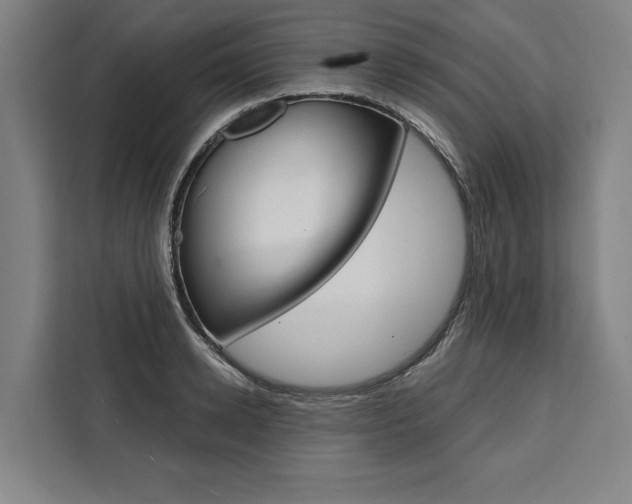 X0000111440942200907131018