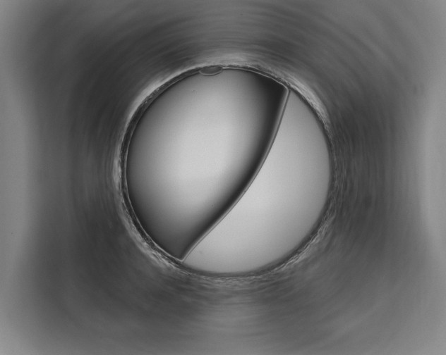 X0000111440944200907131018