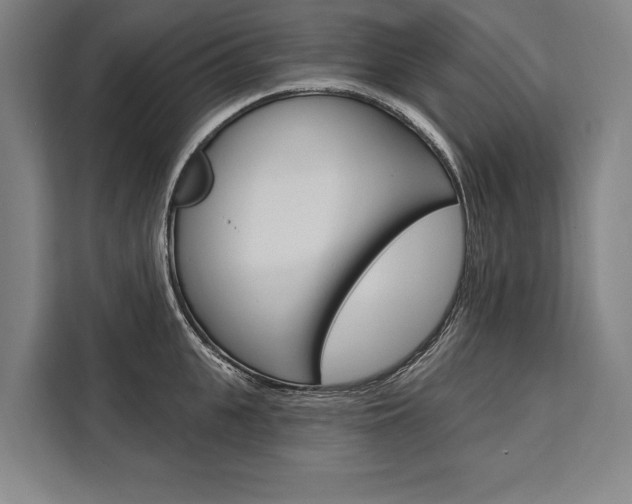 X0000111440951200907131018