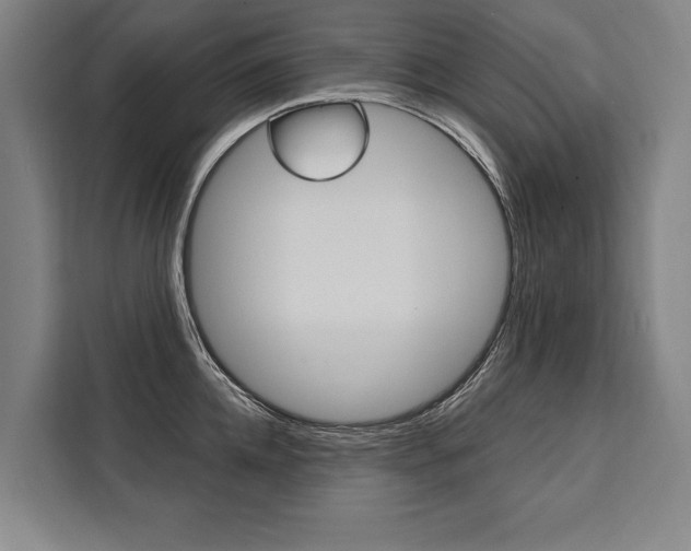 X0000111440952200907131018