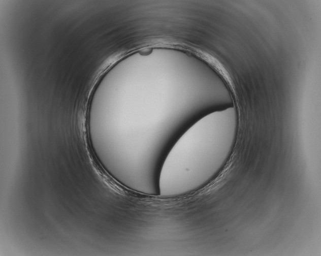 X0000111440954200907131018
