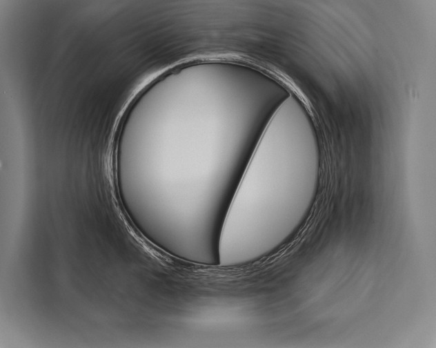 X0000111440959200907131018