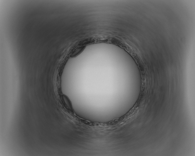 X0000111440961200907131017