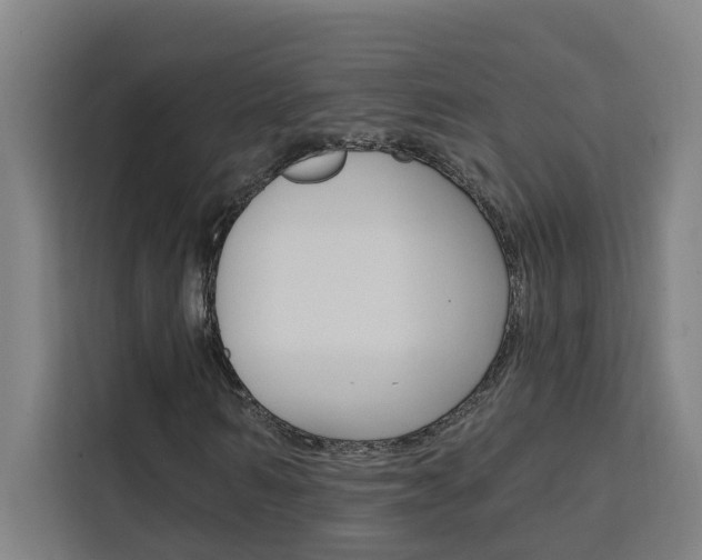 X0000111440962200907131017