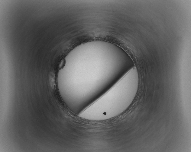 X0000111440963200907131017