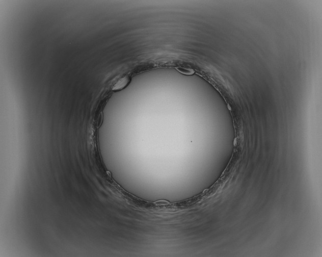 X0000111440964200907131017