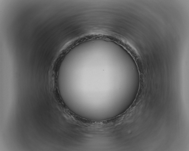 X0000111440968200907131017