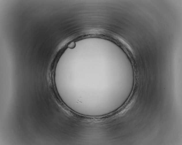 X0000111440970200907131017