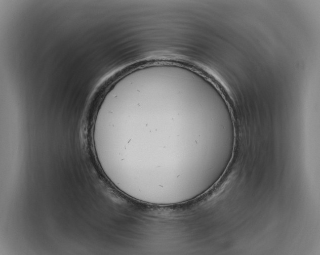 X0000111440971200907131017