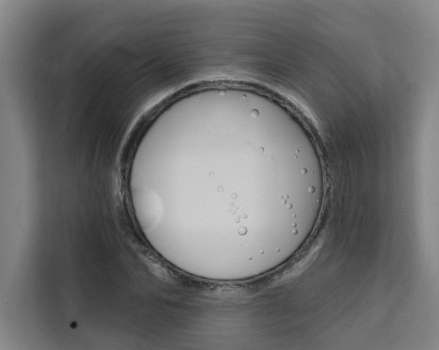 X0000111440974200907131017