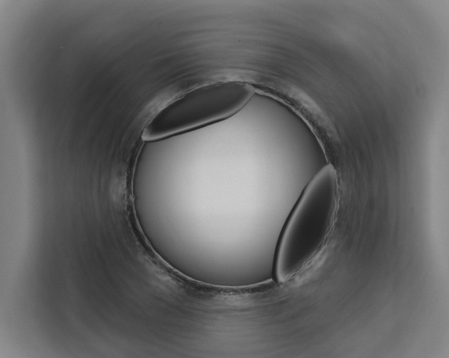 X0000111440977200907131017