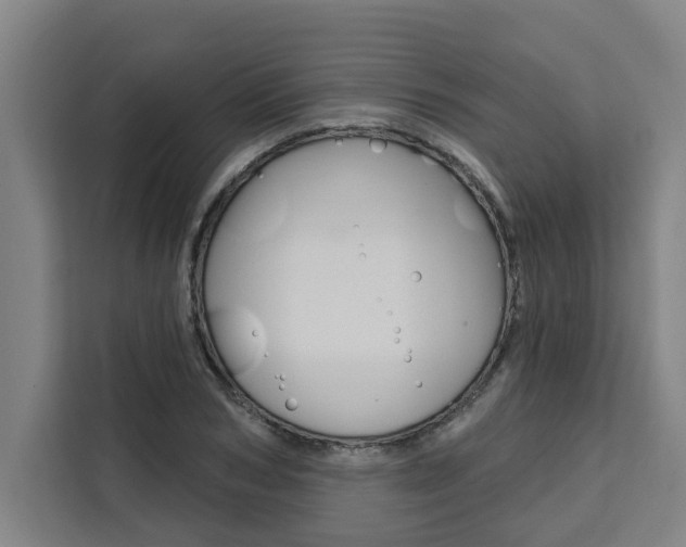 X0000111440978200907131017