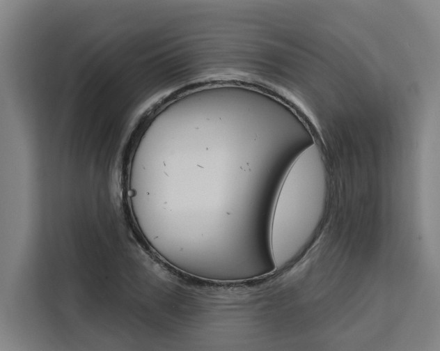 X0000111440979200907131017