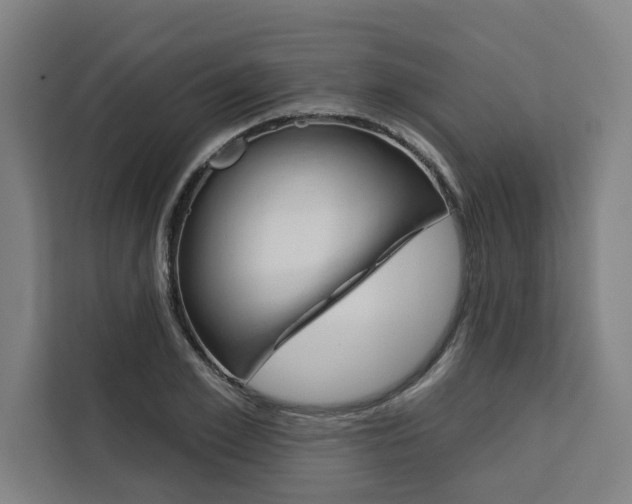X0000111440981200907131017