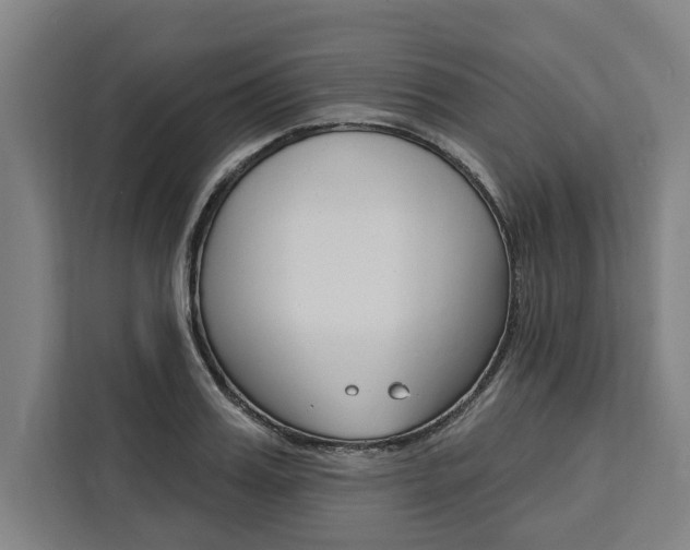 X0000111440987200907131017