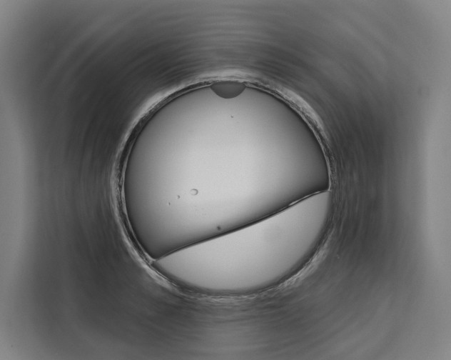 X0000111440989200907131017