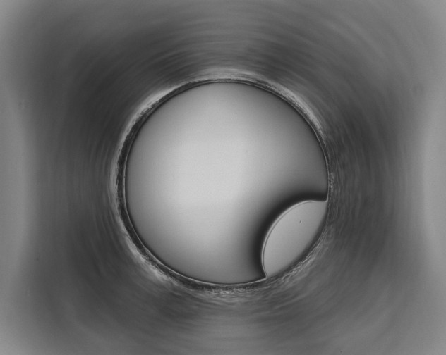 X0000111440995200907131017