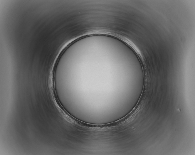 X0000111440996200907131017