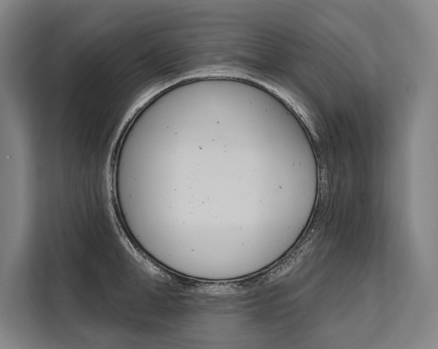 X0000111440998200907131017