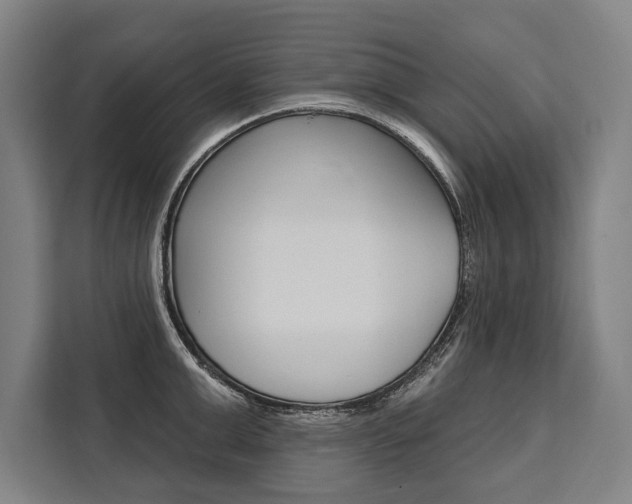 X0000111440999200907131017