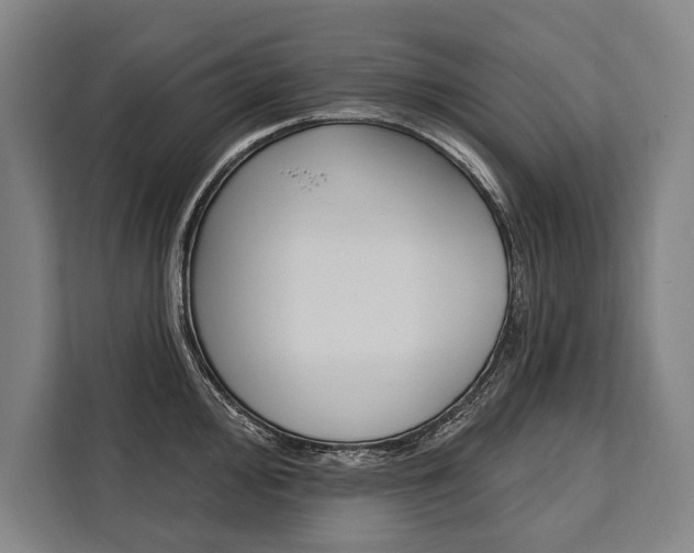 X0000111441000200907131017