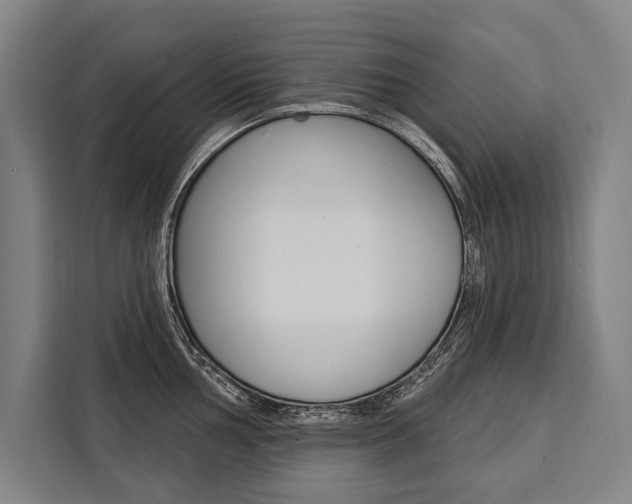 X0000111441002200907131017