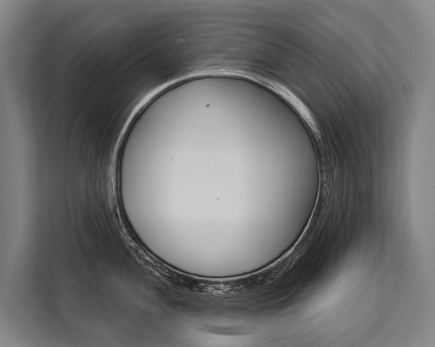 X0000111441004200907131017