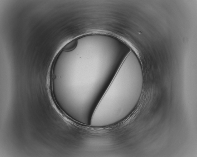 X0000111441007200907131017