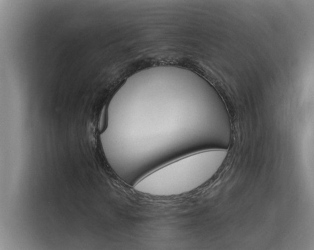 X0000111441010200907131016