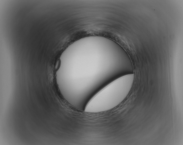 X0000111441012200907131016