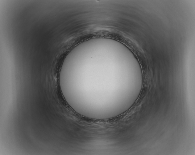 X0000111441013200907131016
