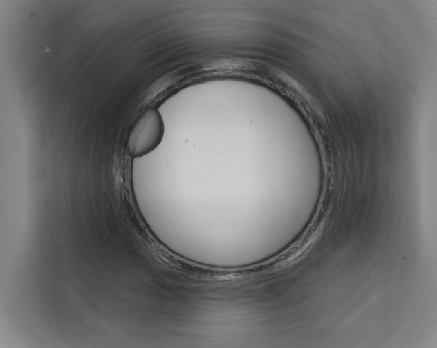 X0000111441017200907131016
