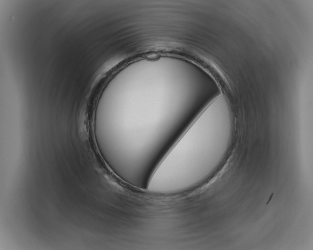X0000111441018200907131016