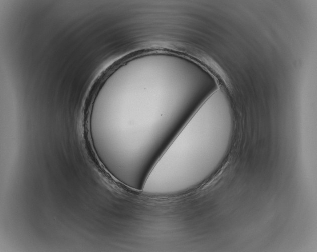 X0000111441020200907131016