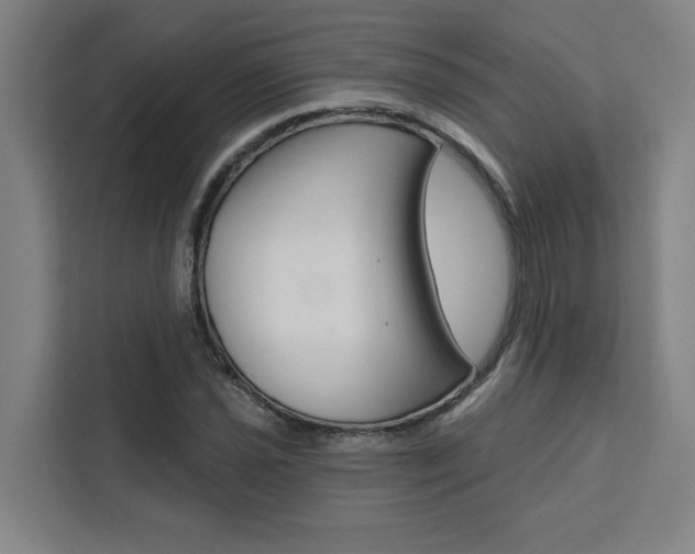 X0000111441021200907131016