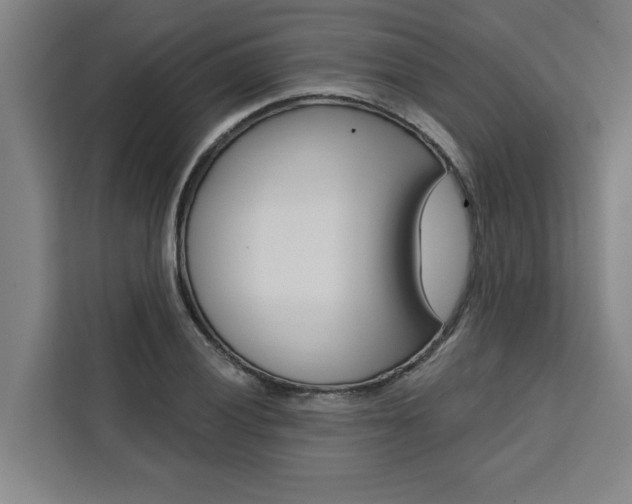 X0000111441028200907131016