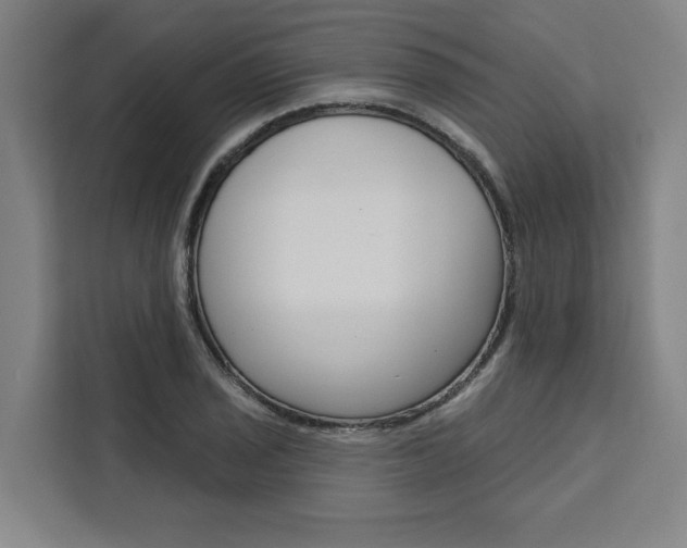 X0000111441029200907131016
