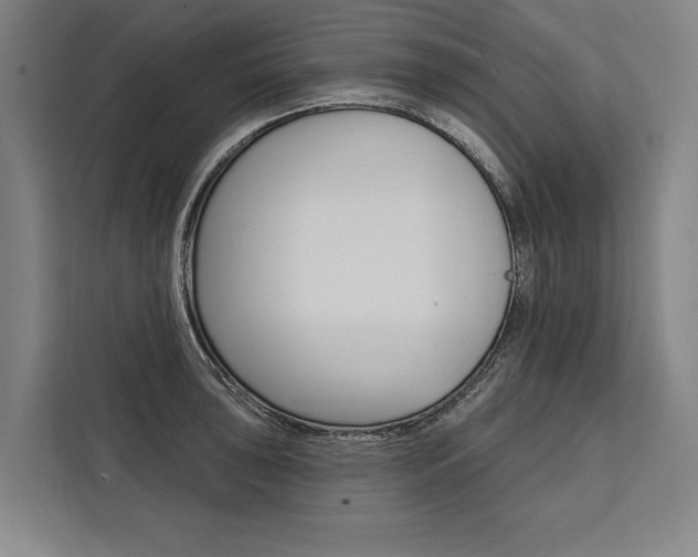 X0000111441043200907131016