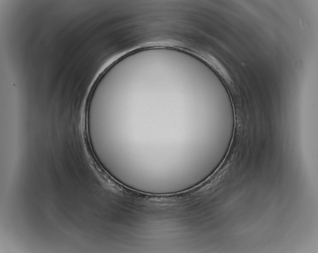 X0000111441044200907131016