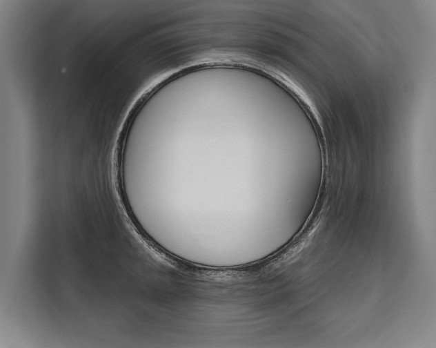 X0000111441045200907131016