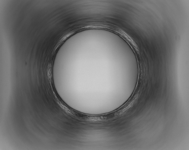 X0000111441049200907131017
