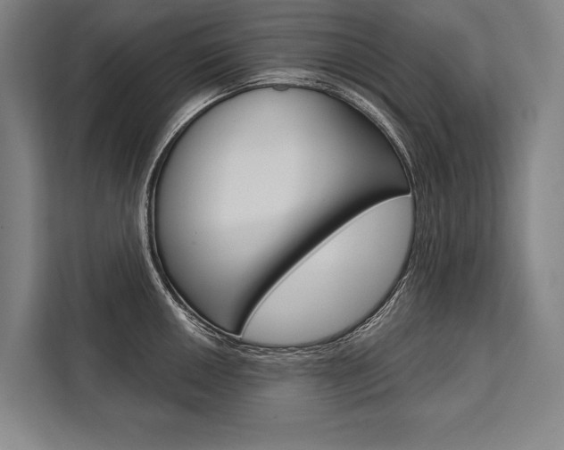 X0000111441050200907131017