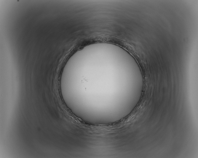X0000111441057200907131016