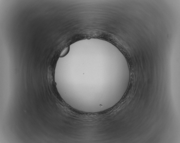 X0000111441058200907131016