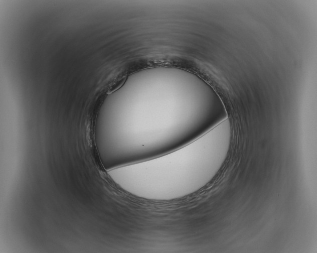X0000111441060200907131016