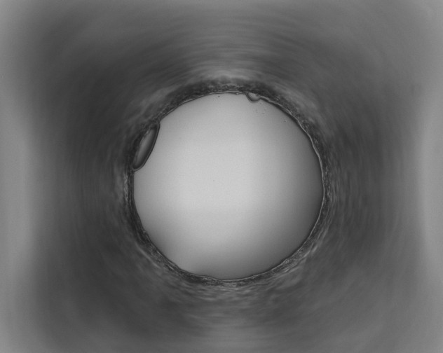 X0000111441061200907131016