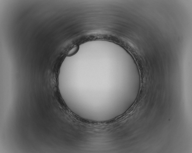 X0000111441062200907131016