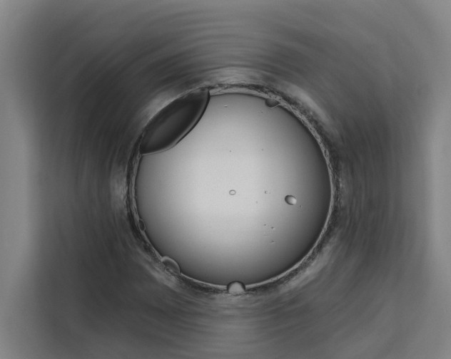 X0000111441065200907131016