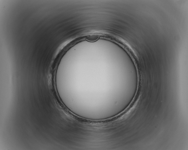 X0000111441066200907131016